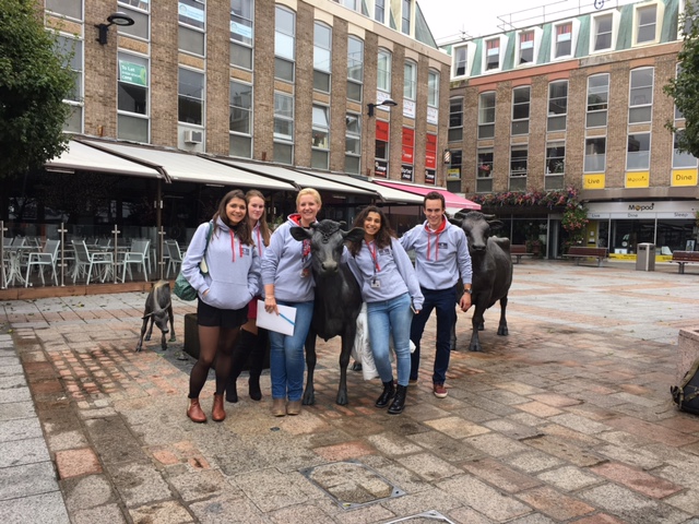 Students taking a picture with the cows